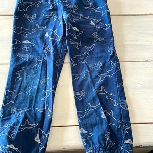 Blue and white sharks